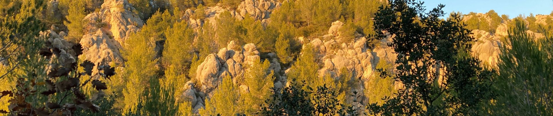 Tocht Stappen Beaurecueil - Sentier Imoucha - Photo