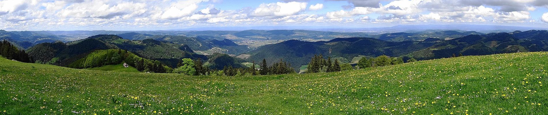 Excursión A pie Beinwil (SO) - Vorder Erzberg - Zingelen - Photo