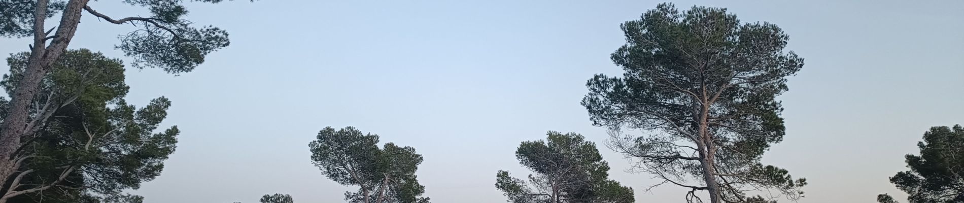 Excursión Senderismo Lézignan-Corbières - La Pinède Lézignan Corbières - Photo