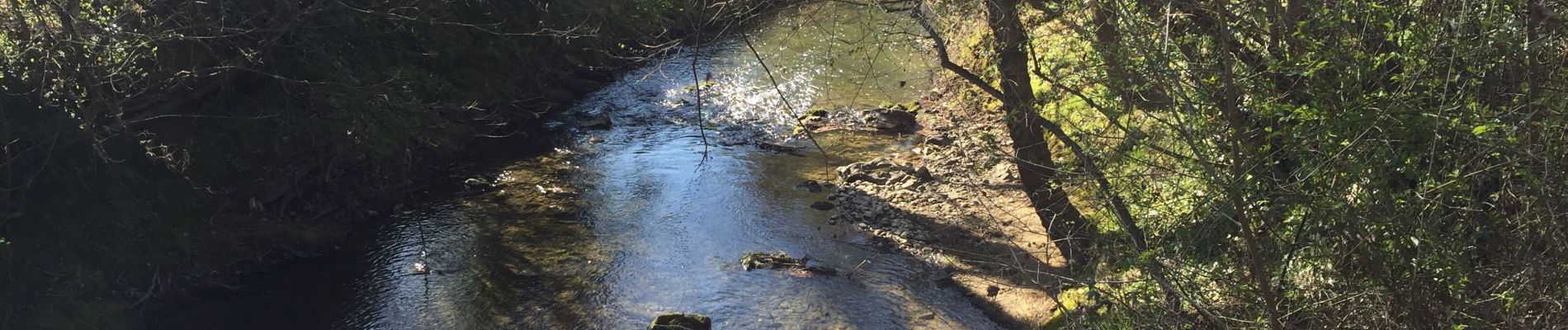 Tour Wandern Coudures - Boucle de Coudures - Photo