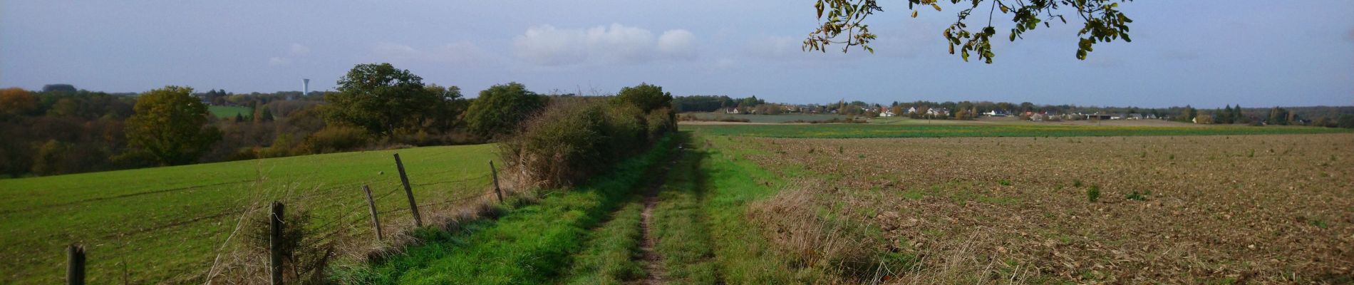 Excursión Senderismo Artannes-sur-Indre - Artannes-sur-Indre - PRs Lavandières et Vallée du Lys - 25.4km 310m 5h45 (25mn) - 2023 11 11 - Photo