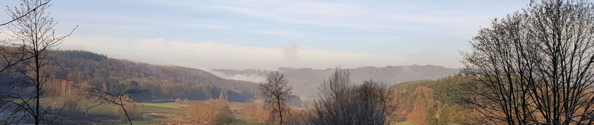 Randonnée Marche Vresse-sur-Semois - Balade de Membre à Laforêt - Photo