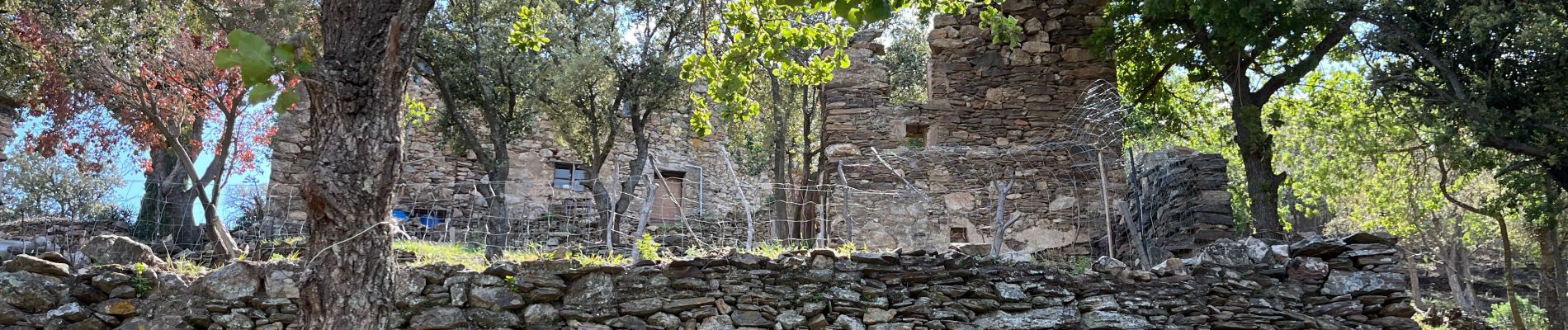 Trail Walking Argelès-sur-Mer - Mas Cristina: Par les trois mas - Photo