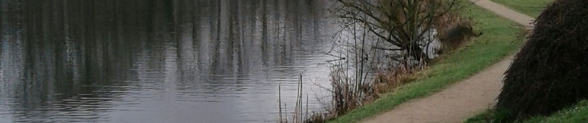 Tocht Stappen Lognes - lognes -Rentilly par Torcy,  - Photo