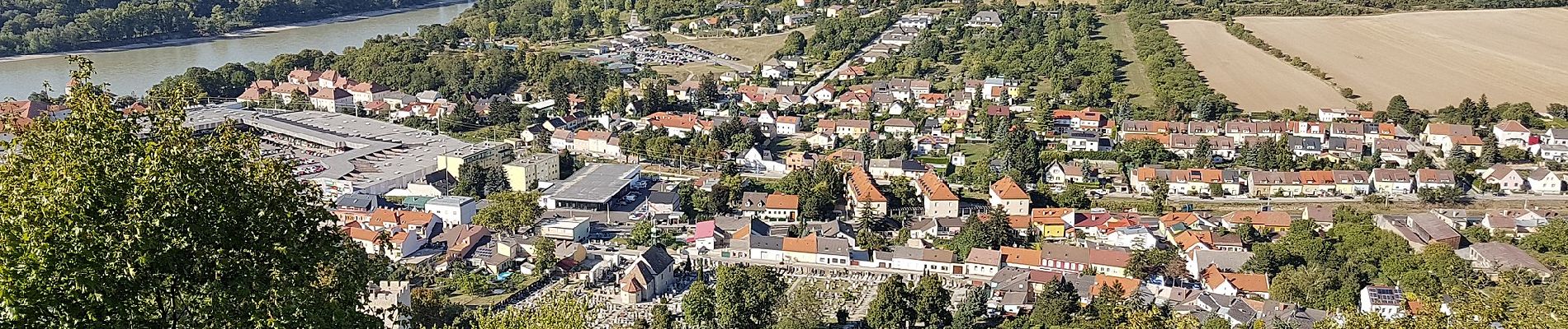 Percorso A piedi Hainburg an der Donau - Hainburg: Hexenbergweg - Photo