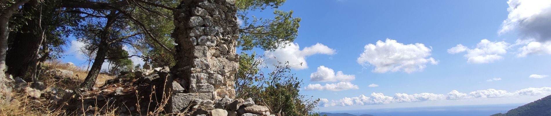 Tocht Stappen Le Revest-les-Eaux - Reconnaissance tracés autour de la Ripelle - A la découverte de nouveaux chemins - Photo