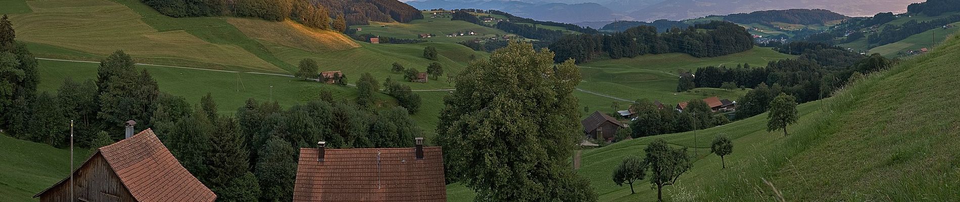 Excursión A pie Wald (ZH) - Wald - Scheidegg - Photo