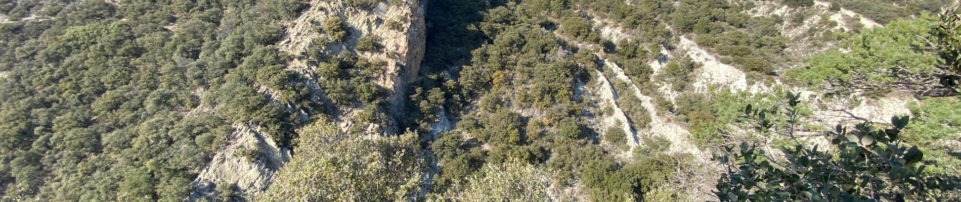 Tour Wandern Rousset-les-Vignes - Rousset les vignes sous La Chapelle - Photo