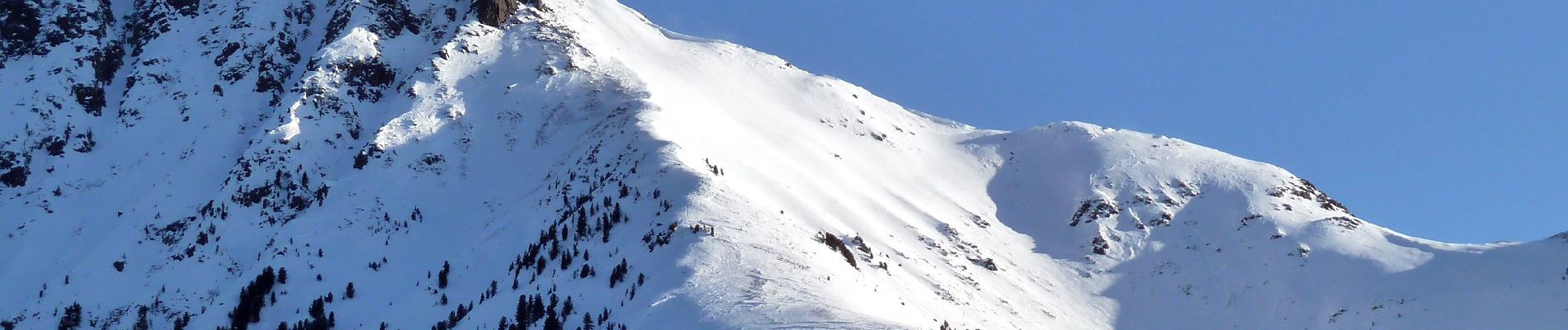 Excursión A pie Aldein - Aldino - (SI C13N) Redagno di Sopra - Passo Lavaze - Photo