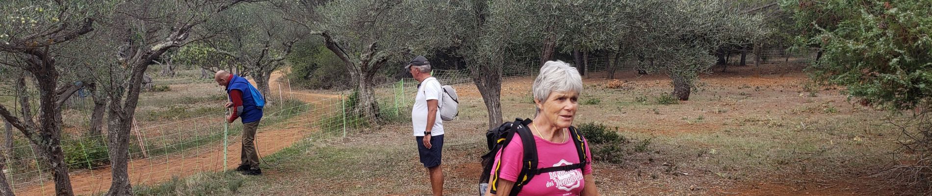 Tocht Stappen Sillans-la-Cascade - Sillans(Maurice) - Photo