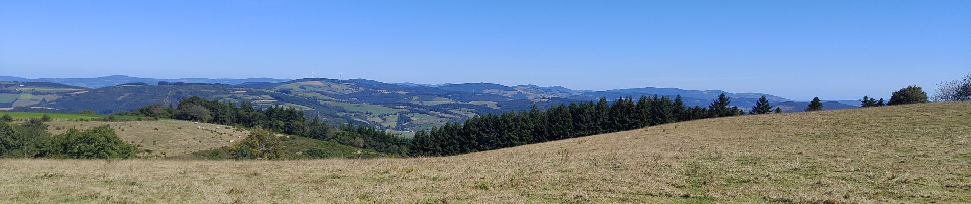 Excursión Senderismo Violay - Randonnée de Violay  - Photo