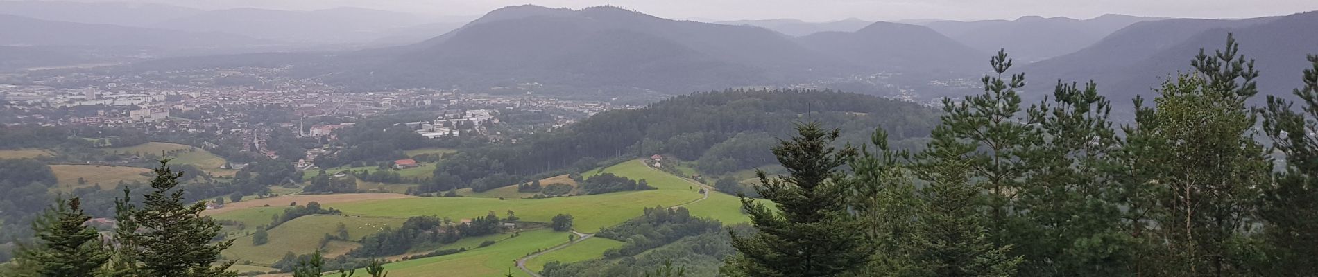 Randonnée Marche Saint-Dié-des-Vosges - Balade autour du Col de la Crenée - Photo