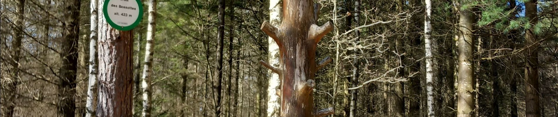 Randonnée Marche La Baffe - la baffe  voir enseble - Photo