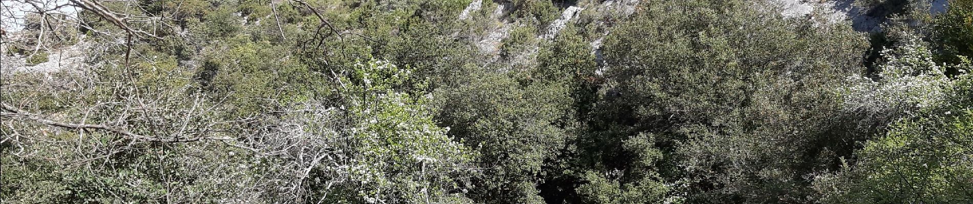 Randonnée Marche La Roque-sur-Pernes - La Roque sur Pernes - Photo