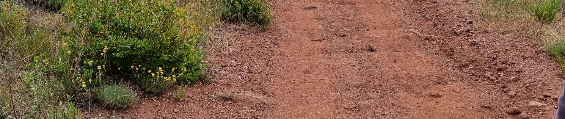 Tour Wandern La Motte - z les demoiselles 31-05-22 - Photo