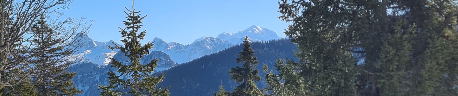 Tocht Sneeuwschoenen Fillière - CREPON DE  MONTOULIVERT - Photo