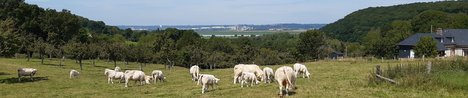 Tour Wandern Fatouville-Grestain - Le chemin du phare - Photo