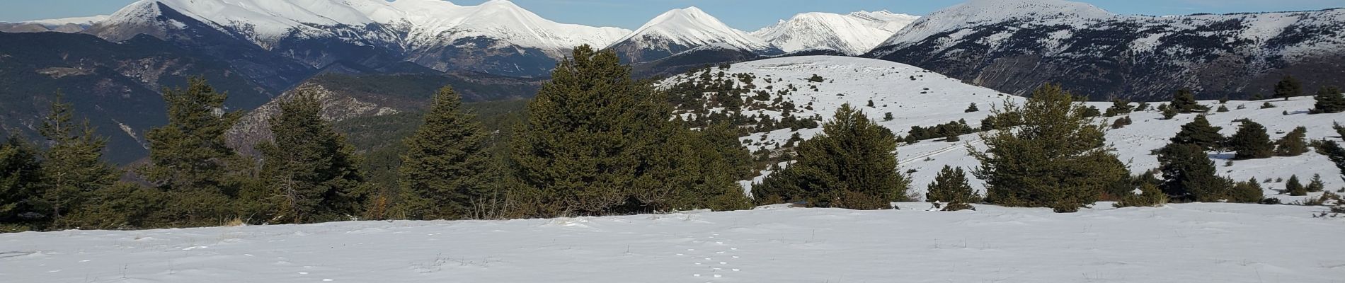 Excursión Senderismo La Mure-Argens - La mure montagne de  maurel 950m 14kms - Photo