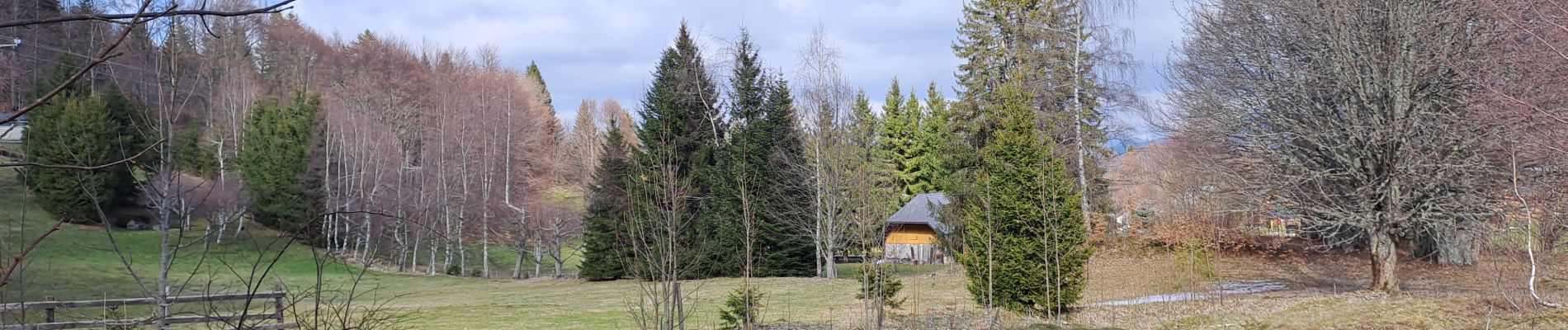 Tour Wandern Les Déserts - Nivolet-04-04-23 - Photo