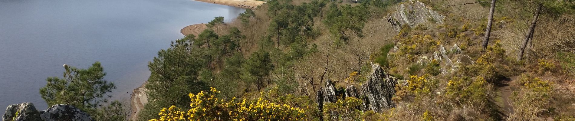 Trail Walking Caurel - PR_22_Caurel_AA_01_Circuit1b_Des-Landes-De-Caurel_20150308 - Photo