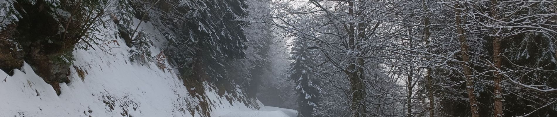 Tour Wandern Proveysieux - Proveyzieux- Col de la Charmette - Photo