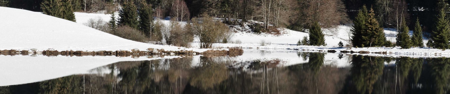 Excursión Senderismo Oyonnax - lac Genin et retour - Photo