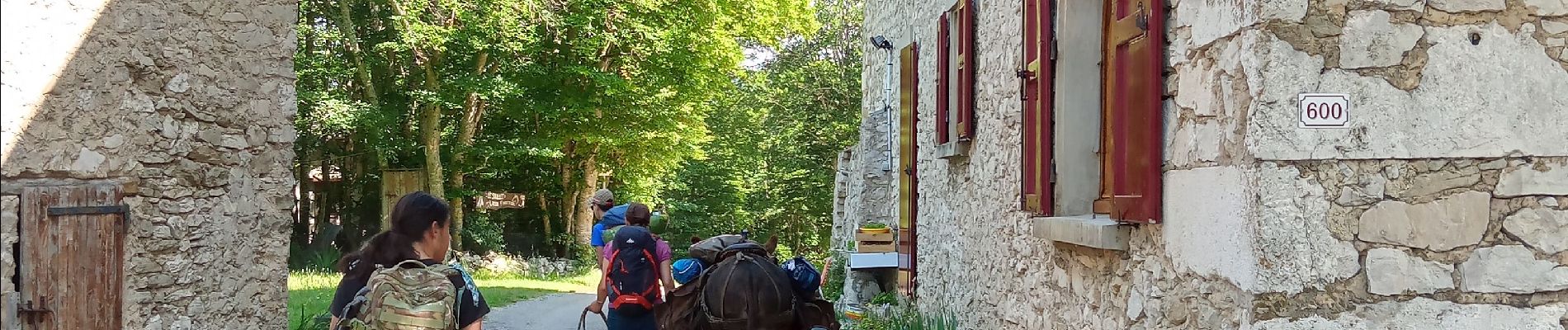 Percorso Marcia Vassieux-en-Vercors - Vassieux en Vercors- La Chapelle en Vercors- Rando Âne (2 et 3 ème jour) -  - Photo