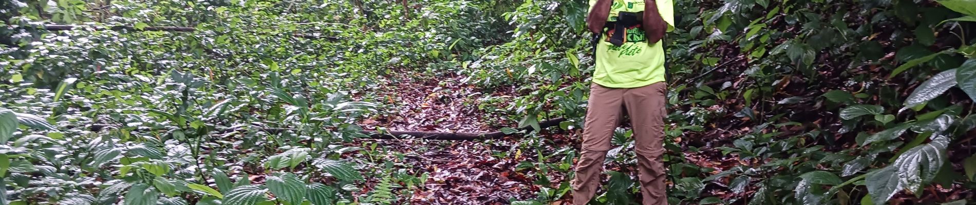 Tocht Stappen Le Lorrain - Rando d'ouverture Morne Capot via Gens - Photo