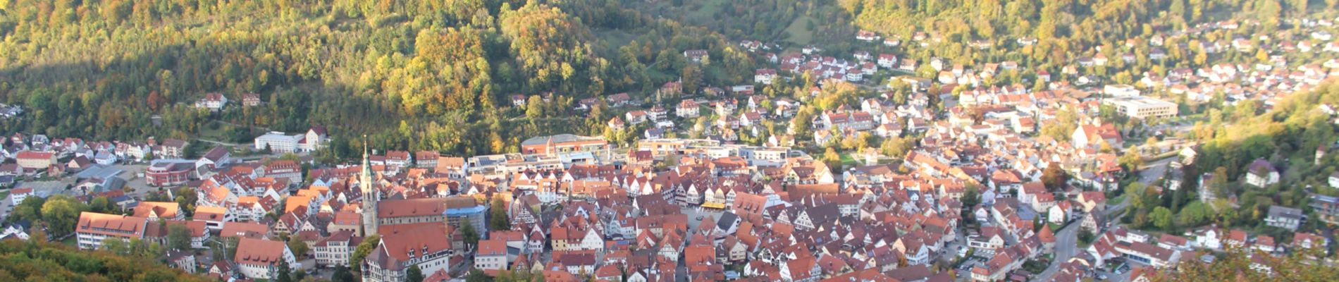 Percorso A piedi Gomadingen - Hohenurachsteig - Photo