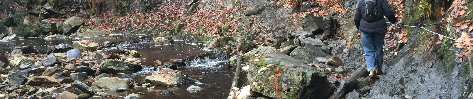 Tour Wandern Malmedy - Les trois marets - Photo