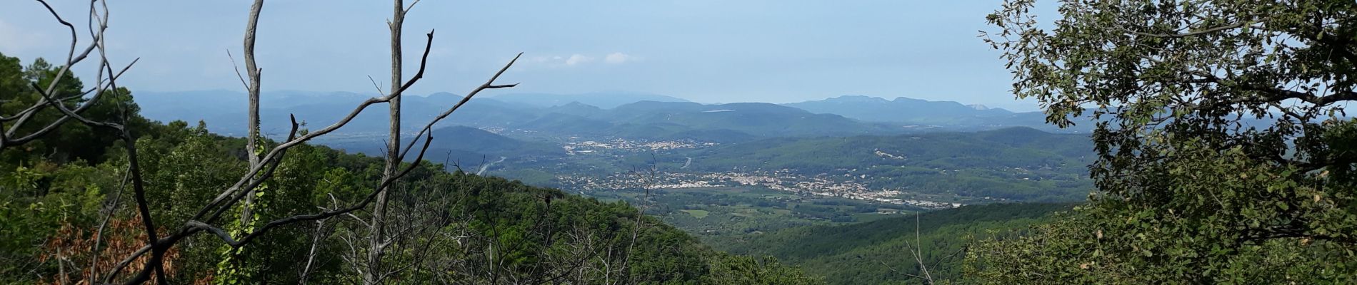 Excursión Senderismo Pignans - Pignan - ND des Anges. - Photo