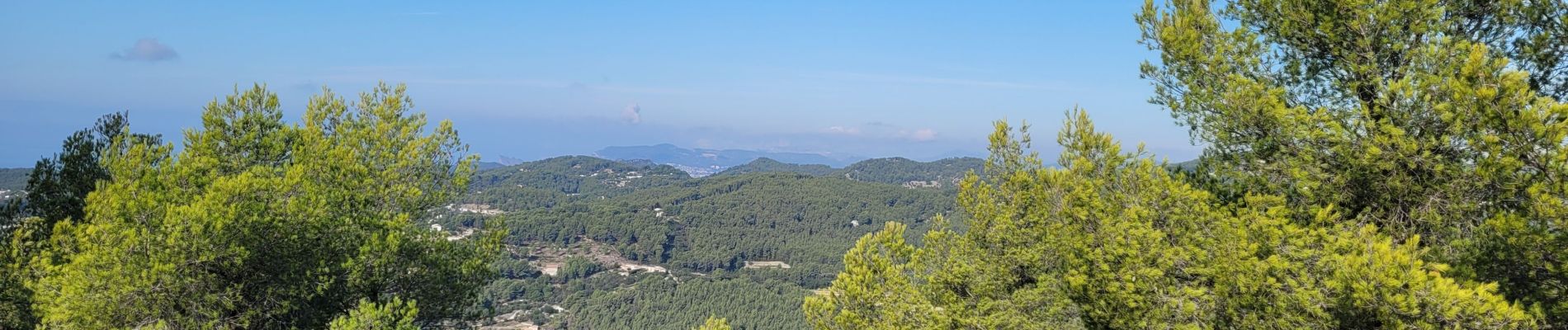 Tocht Stappen Le Castellet - Bandol le gros cerveau  - Photo