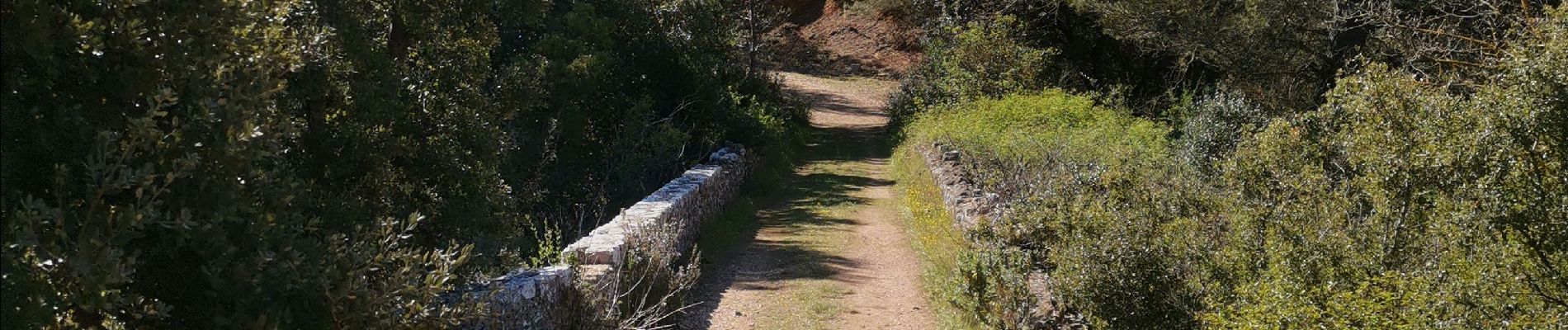 Percorso Mountainbike Vitrolles - Plateau 50km - Photo