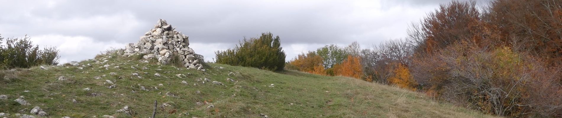 Tour Wandern Saou - Petit et Grand Pomerolle - Saoû - Photo