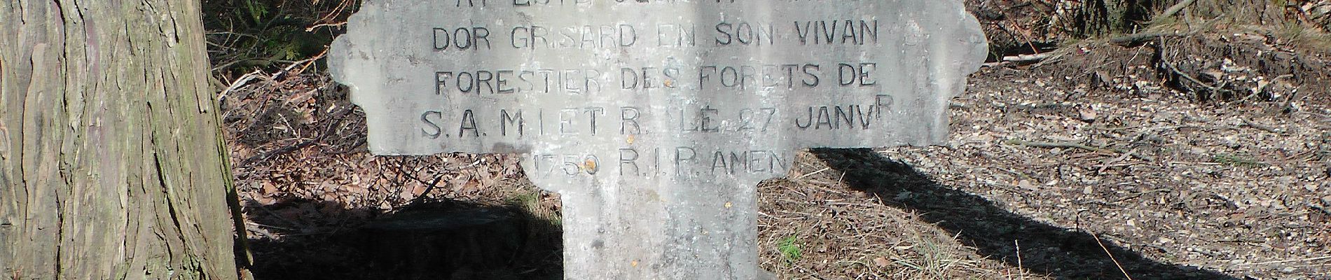 Percorso A piedi Baelen - Chêne du Rendez-vous - Croix Grisard - Photo