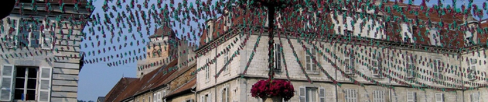 Randonnée A pied Arbois - Entre Bois et Vignes - Photo