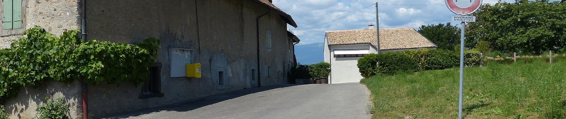 Percorso A piedi Meinier - Corsier - Compois - Photo