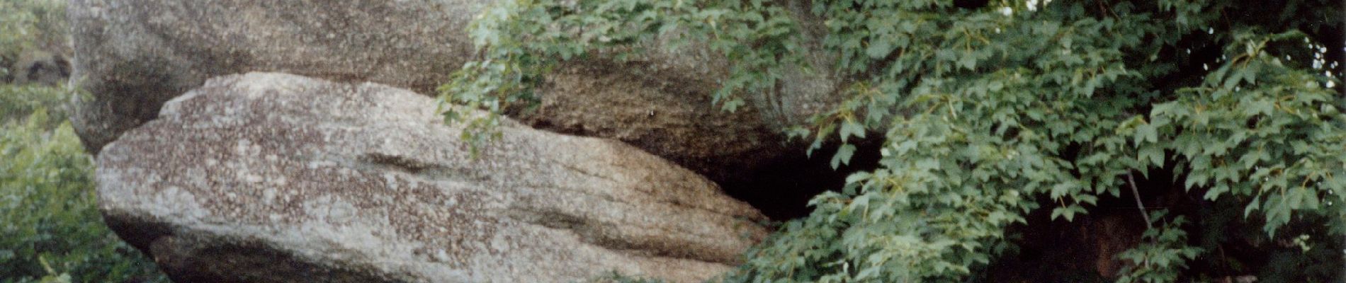 Excursión A pie Gemeinde Rappottenstein - Guttenbergweg 2 - Photo