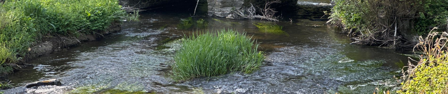 Tour Wandern Daverdisse - Gembres 27,2 km - Photo