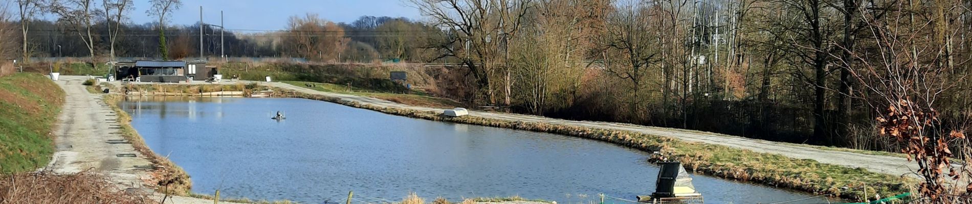 Punto de interés Villers-la-Ville - Etang - Photo