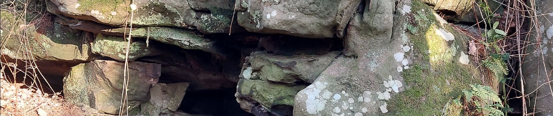 Point d'intérêt Fontainebleau - Q - Tunnel des Mastodontes - Photo