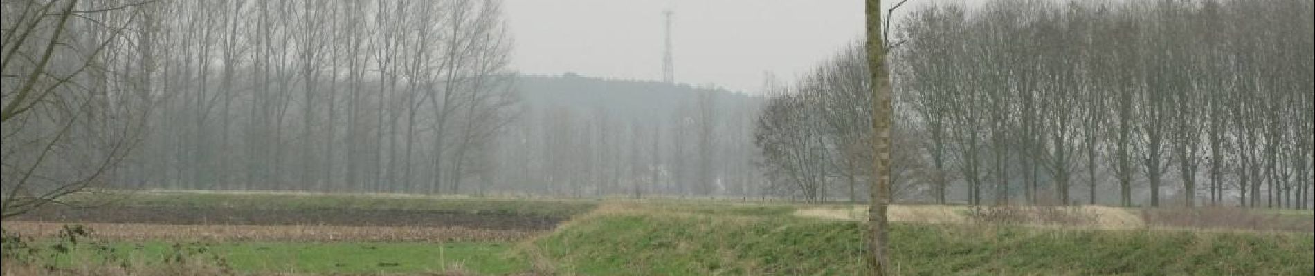 Randonnée A pied Montaigu-Zichem - Demerbroeken Rode driehoek - Photo