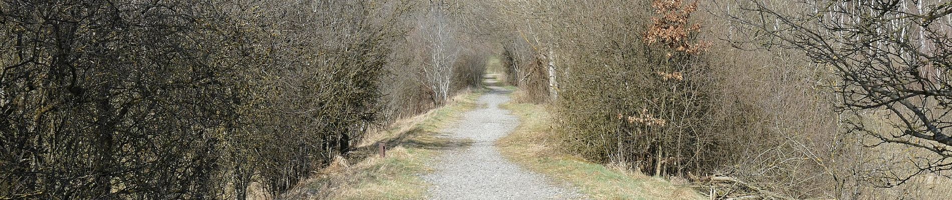 Trail On foot Glonn - Wanderweg 6, Glonn - Photo