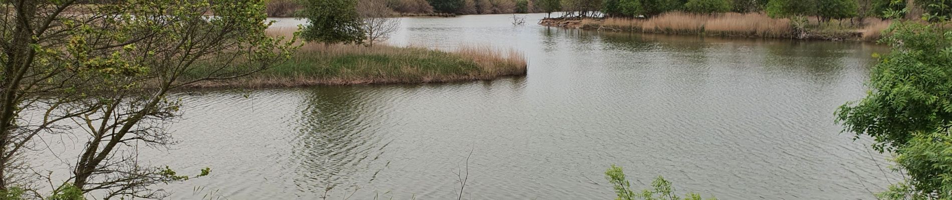 Tocht Stappen Sant Pere Pescador - San Pere Pescador - Photo