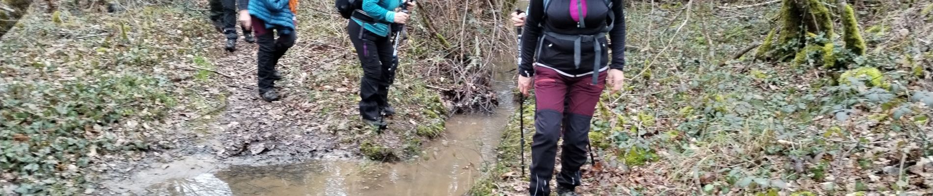 Tocht Stappen Mirambeau - Mirambeau petit Niort - Photo