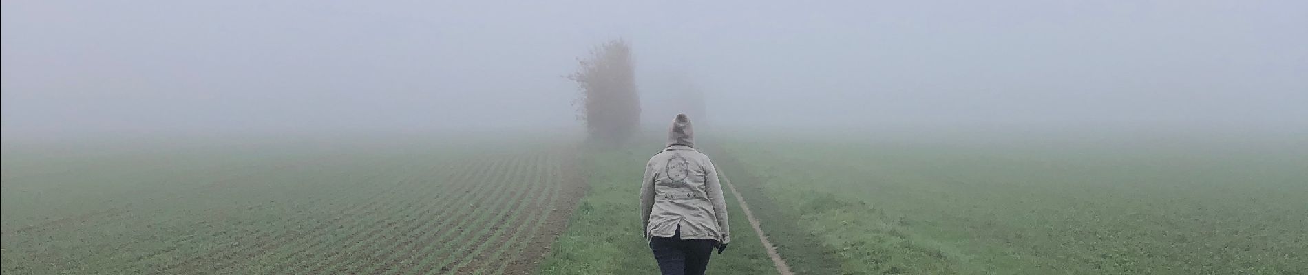 Excursión Senderismo Feucherolles - Feucherolles  - Photo