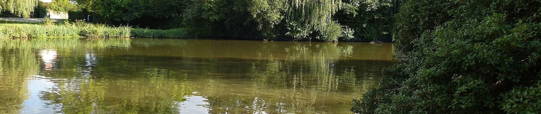 Excursión A pie Nort-sur-Erdre - Les Marais de Blanche Noë - Photo