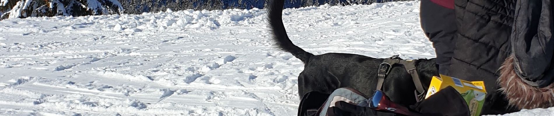 Randonnée Ski de randonnée Combloux - Combloux Le Perthuis par la piste