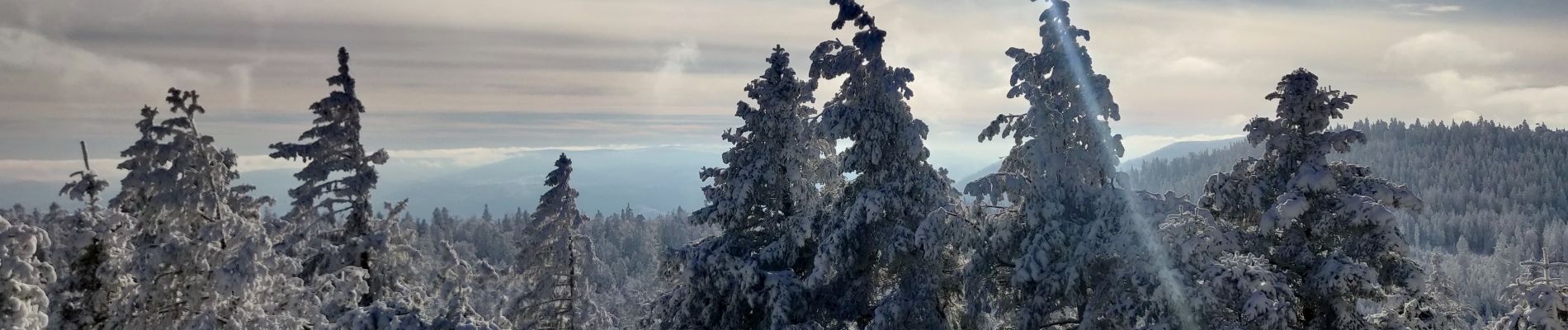 Tour Wandern Oberhaslach - 2023-01-29 Marche Nideck Schneeberg Umwurf - Photo