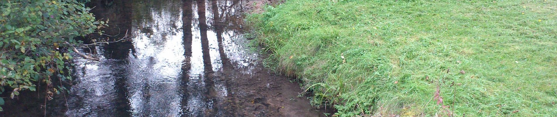 Tocht Te voet Weilbach - Parkplatzrundwanderweg Weilbach Hallenwald 3 : Vorderhallweg - Photo